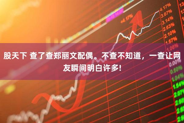 股天下 查了查郑丽文配偶。不查不知道，一查让网友瞬间明白许多!