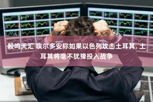毅鸣天汇 埃尔多安称如果以色列攻击土耳其, 土耳其将毫不犹豫投入战争