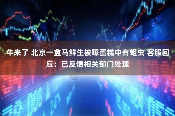 牛来了 北京一盒马鲜生被曝蛋糕中有蛆虫 客服回应：已反馈相关部门处理